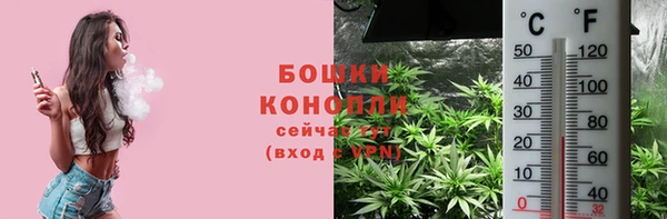 сатива Козельск