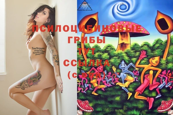 марки lsd Козловка