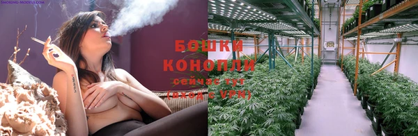 ПСИЛОЦИБИНОВЫЕ ГРИБЫ Чердынь